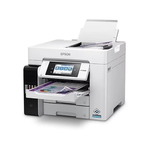 Epson Printer ST-C5000